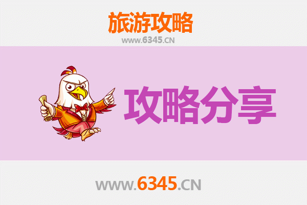 内江东兴至湄洲岛旅游攻略：跟团还是自由行选择指南